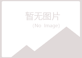 河池忆寒会计有限公司